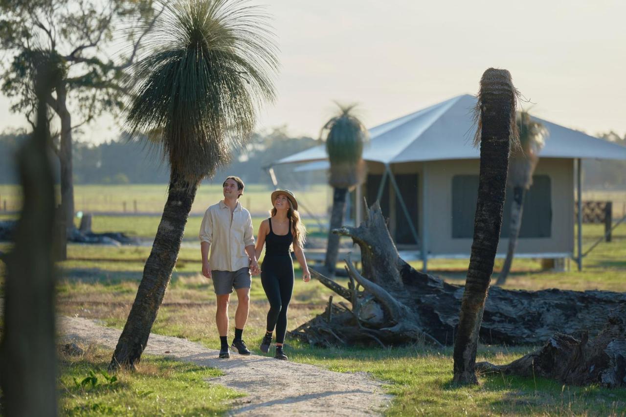 Willow Wood Glamping Retreat Broadwater Exterior foto