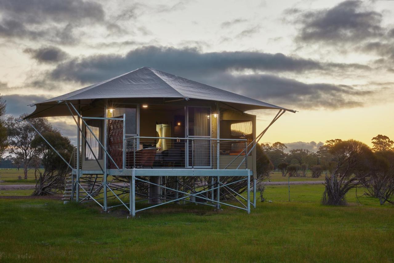 Willow Wood Glamping Retreat Broadwater Exterior foto